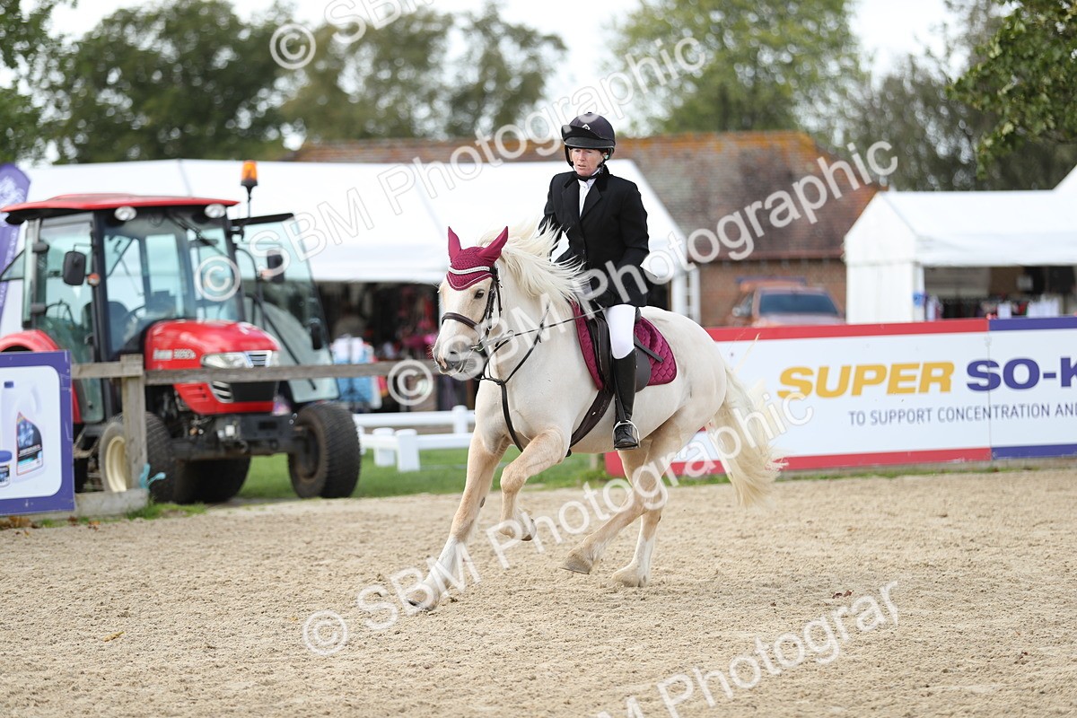 SBM_06429 - J29 - Senior Horse & Pony 65cm Championship