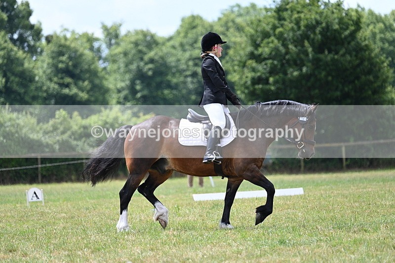 WJ7_5695 - Time 11:52 to 12:10