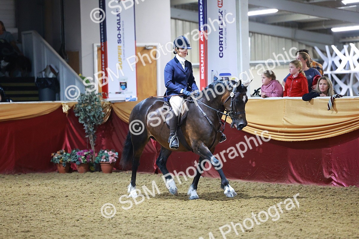 SBM_15694 - Class T - Working Veteran Champ