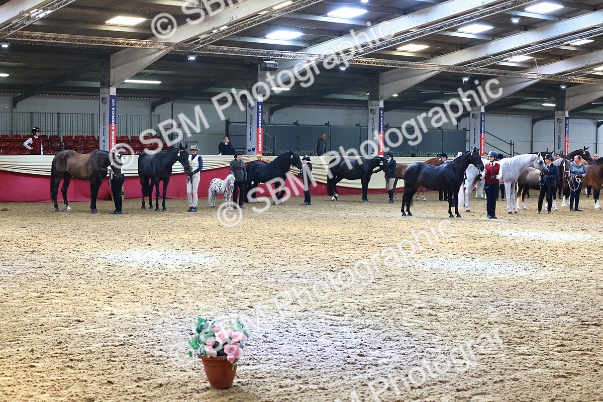 SBM_22408 - Class 902 - Supreme Final - IH Diamond