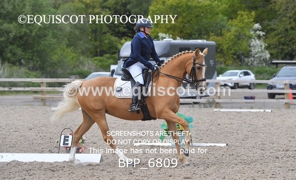 BPP_6809 - 3 D HARRISON