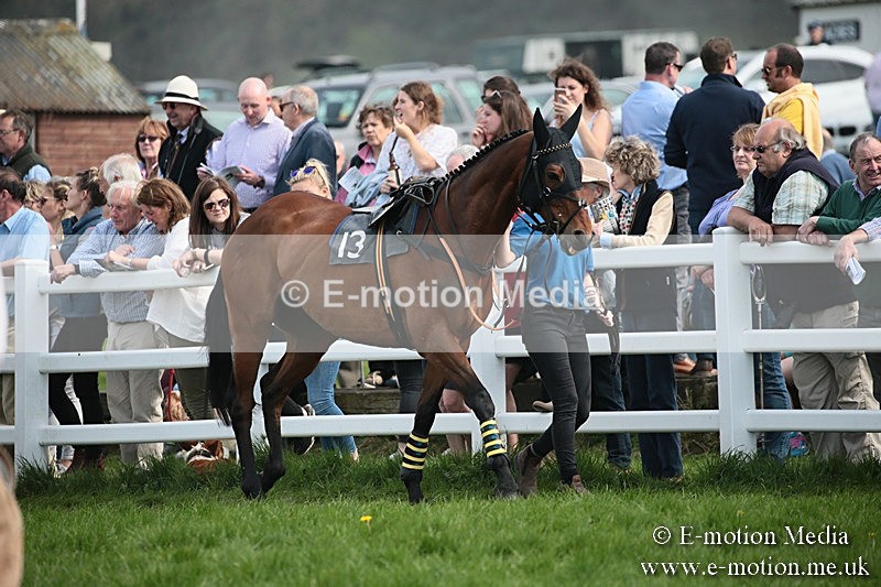 PtP 210418 312 - South & West Wilts Point-to-Point Larkhill 21/04/18