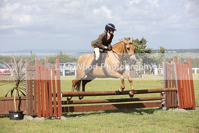 JPP_2694 - Class 20: Working Hunter 70cm