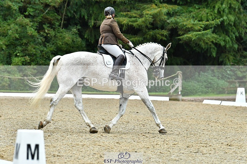 230722-160950-03879 - Cls 5, Elementary Silver 15.10 to End