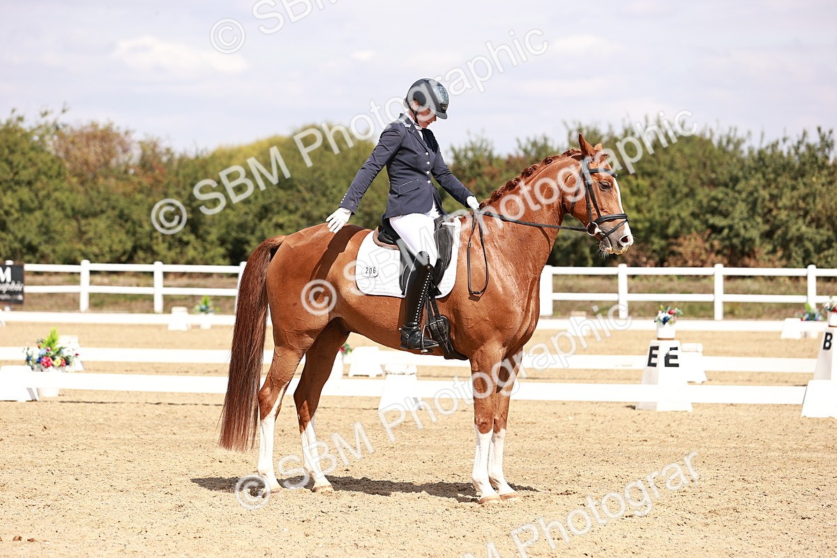 SBM_018435 - Class 17 - Novice 6