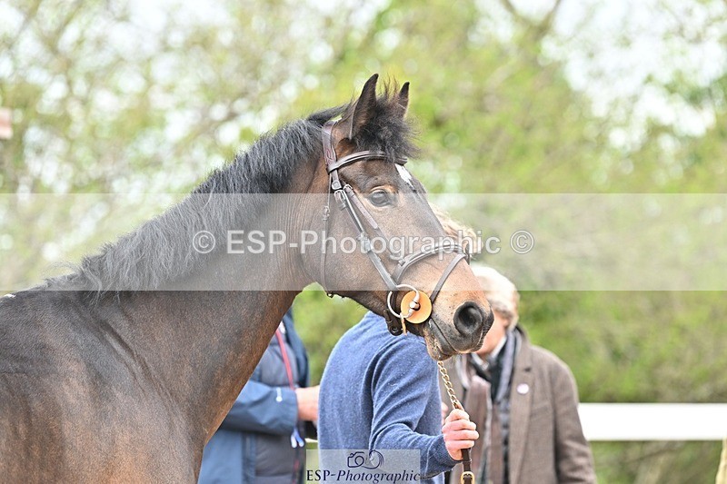 250423-150700-01425 - 3pm to 4pm