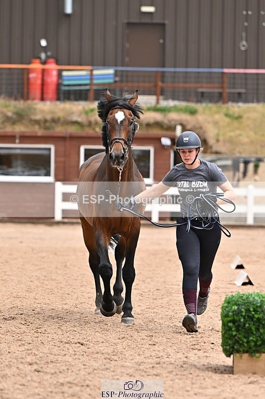 250716-145122-01450 - Trot Up 2.30 to 3.30