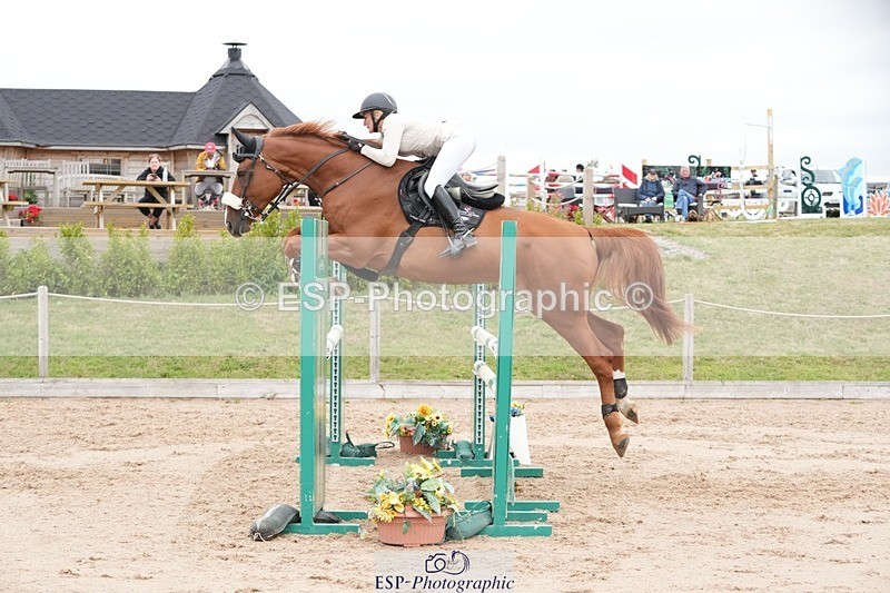 250803-125201-13184 - Cls 27 Chard Equestrian 5 Year Old Championship