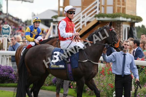 yr24092021r2-11 - Race 2 2.05pm William Hill Extra Places Races Stakes