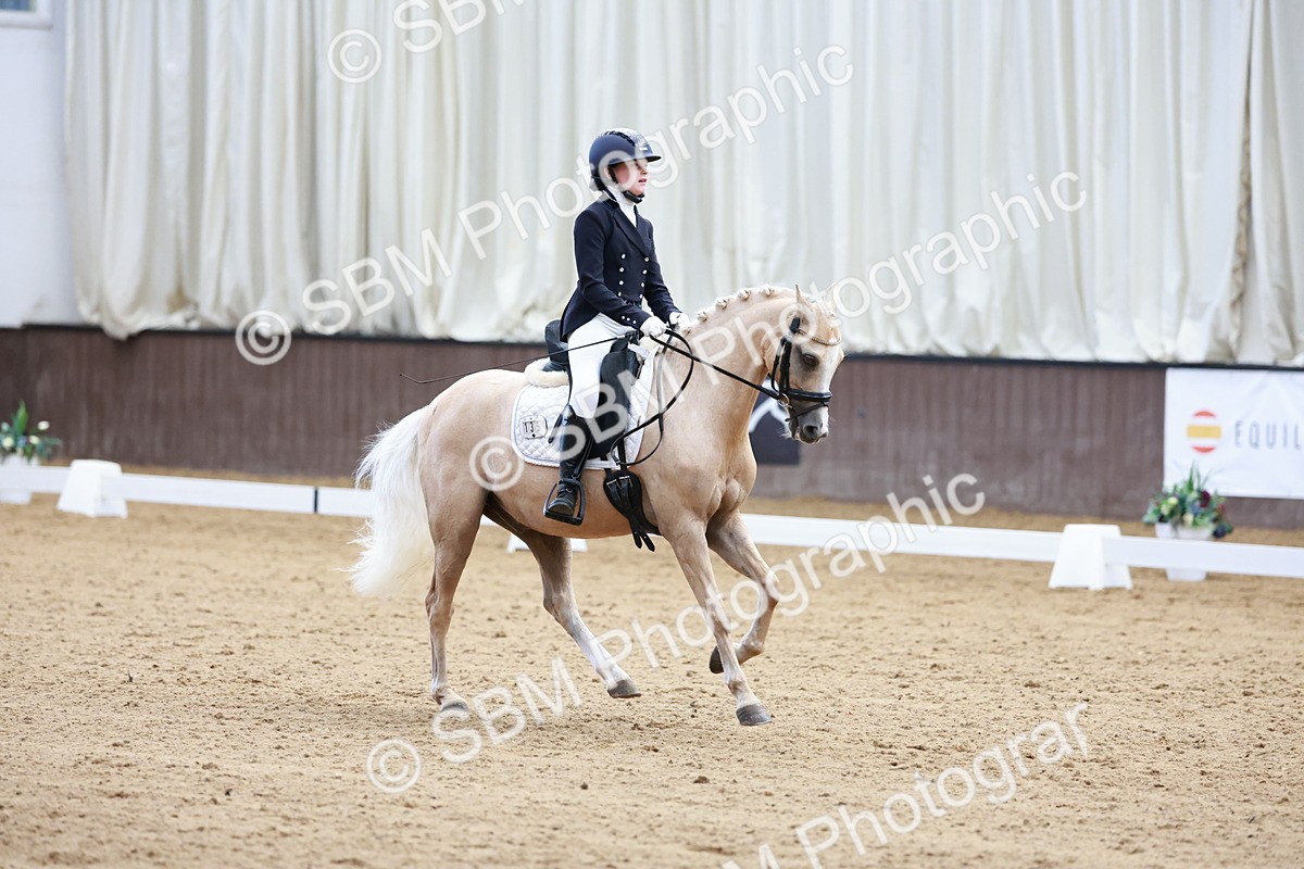 SBM_017375 - Class15 - FEI Pony