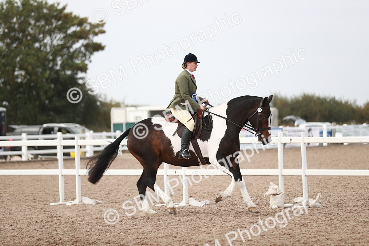 SBM_16840 - Class 214 Ridden Cob