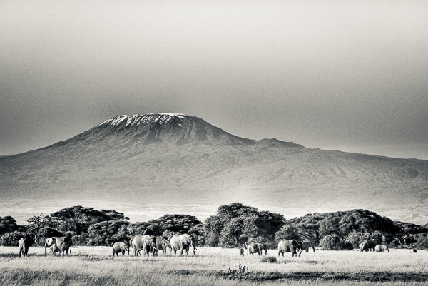 Kenya, Kilimanjaro, Amboseli