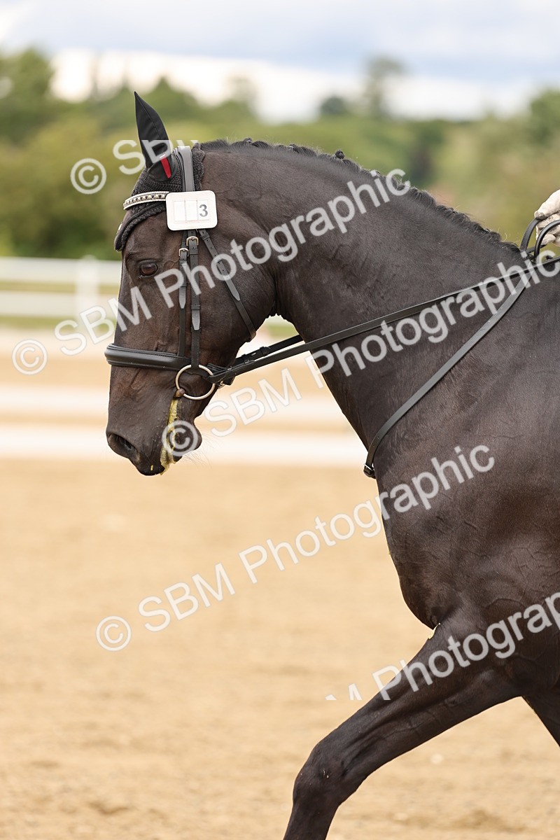 SBM_002641 - Class 6a - Novice 5 - 11.53-14.27