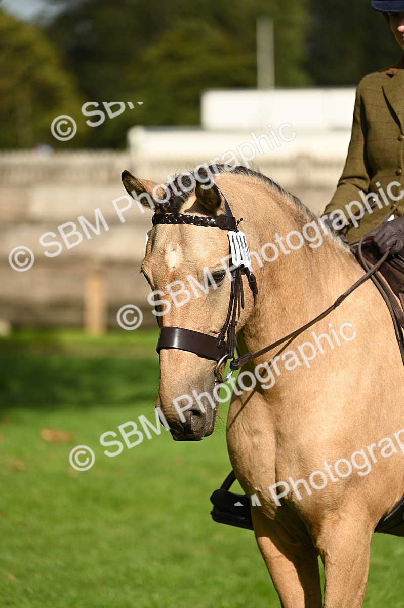 SBM_26387 - S6 - Novice & newcomer Ridden horse