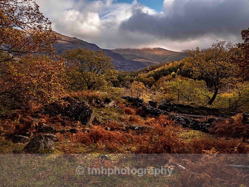 Autumn at Llanberis. - Wales