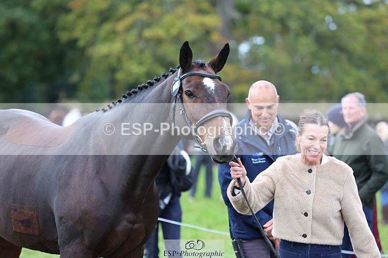 251026A-105056-23317 - G-524-Emma.Ergatoudis