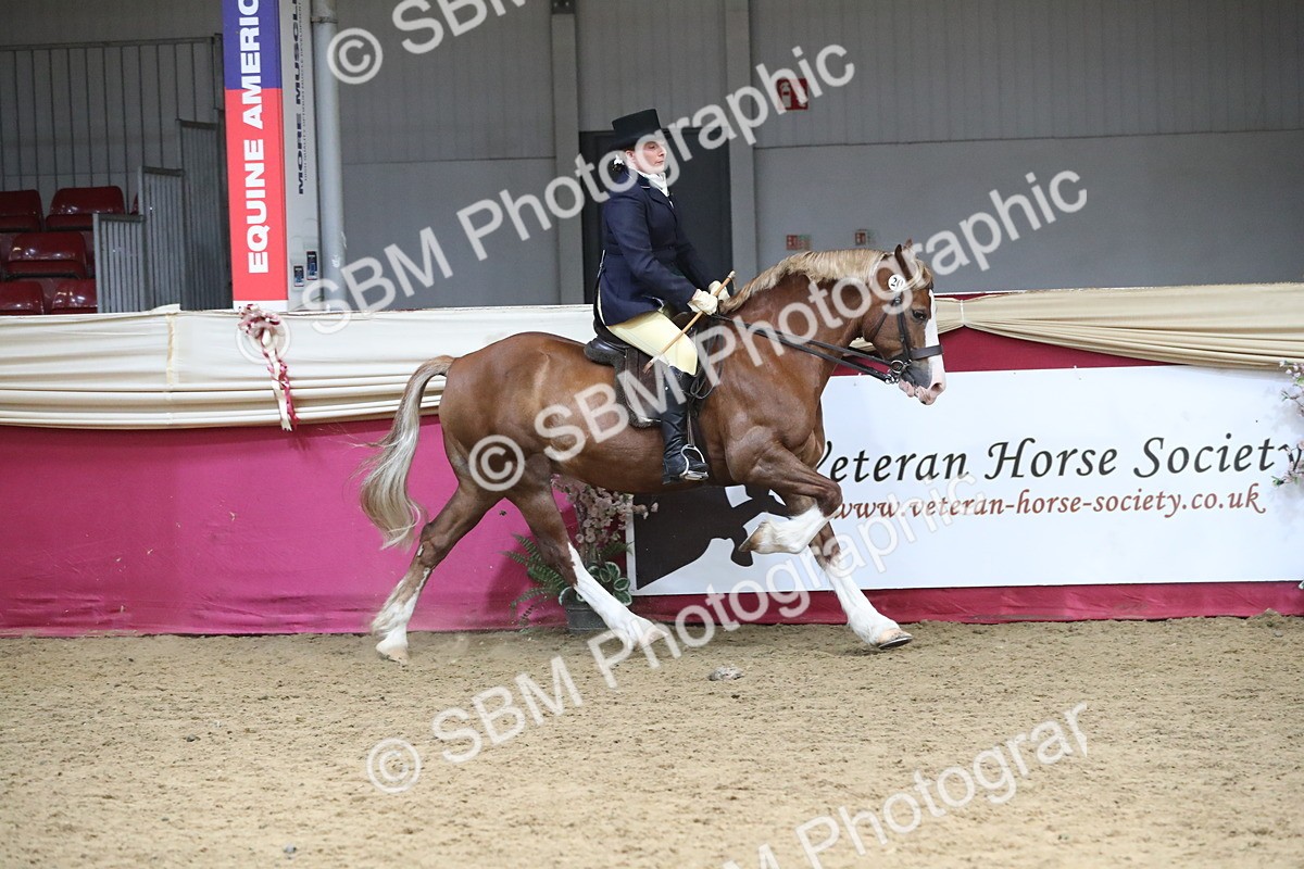 SBM_16352 - Class 502 M&M Ridden Supreme Final