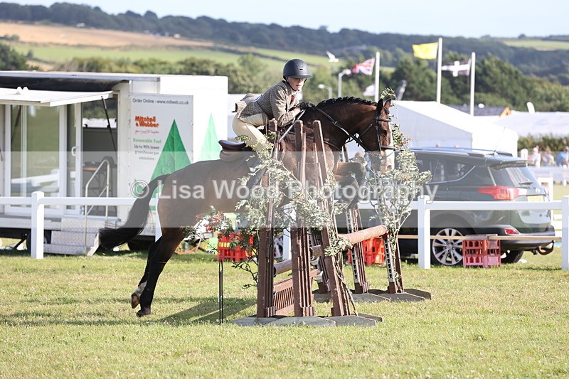 JPP_3236 - Class 21: Working Hunter 80cm