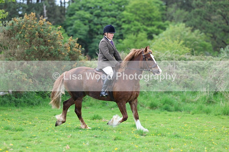 3E7A0660 - Class 5: Ridden M & M Senior