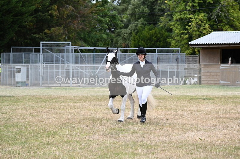 WJ6_4249 - Class 10 Coloured In-hand
