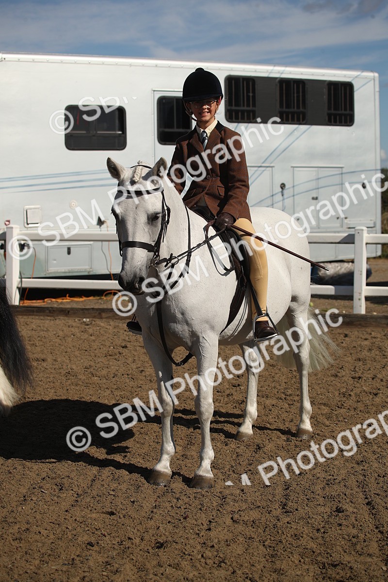 SBM_12764 - Class 504b - Junior Working Veteran - 40cm (20+)