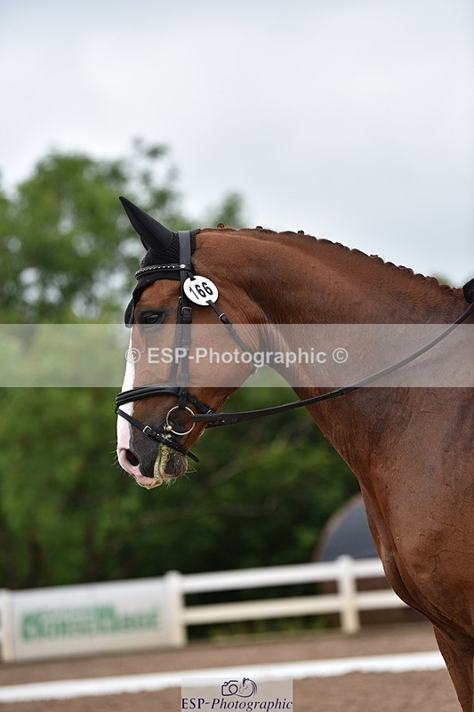 240623A-110840-17008 - Cls 47 BD Novice 22