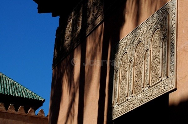 Palm Shades - Marrakesh II