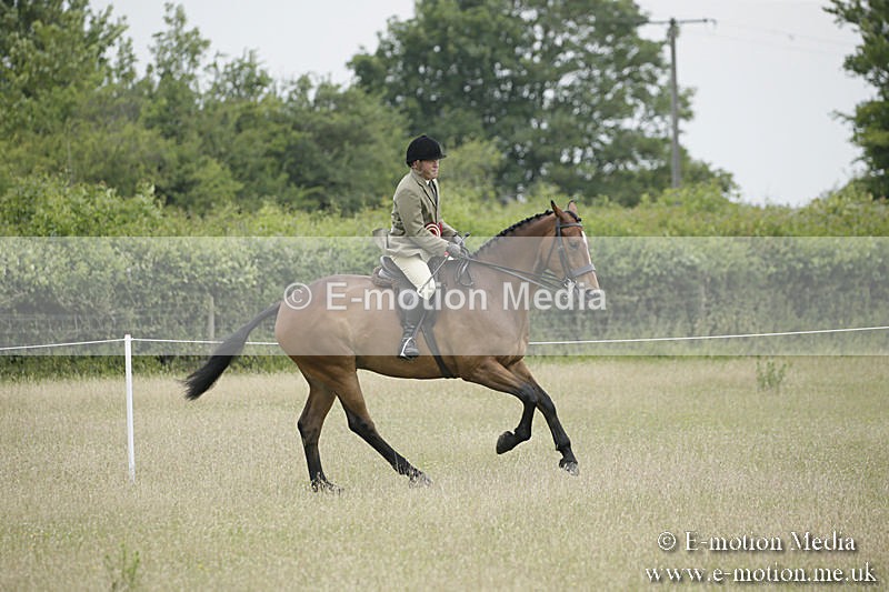 B230619-0967 - Bourne Valley Riding Club Summer Show 23/06/19