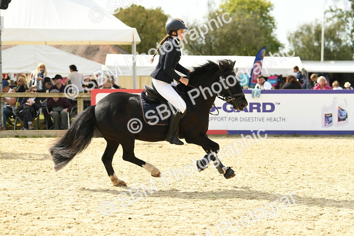 SBM_69201 - J15 - Junior Pony 70cm Championship