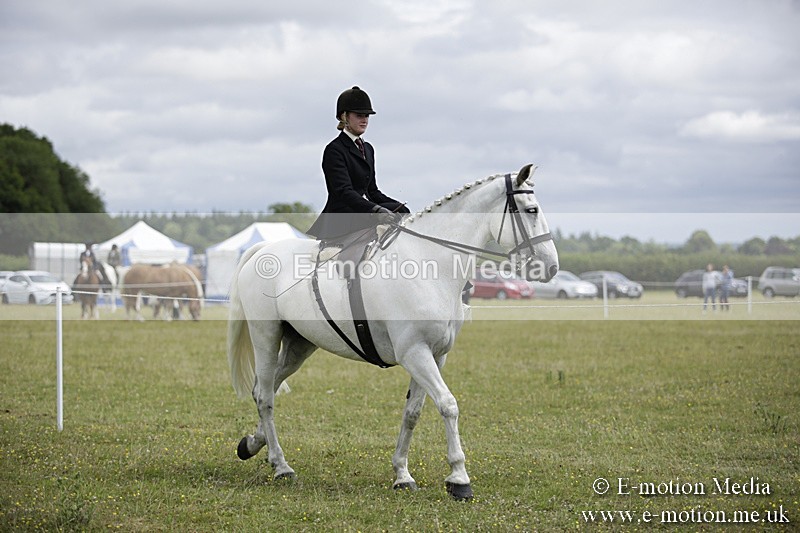 BVR160717-2003 - Side Saddle Classes 16/07/17