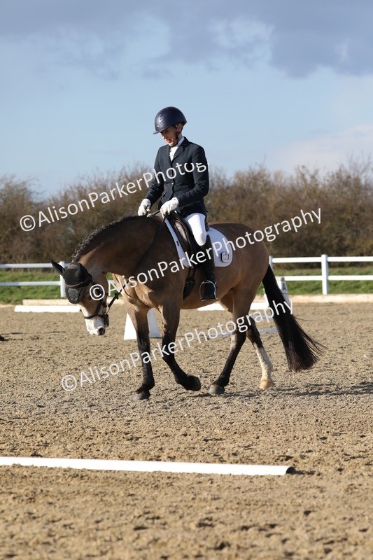 20260314-5886 - DR8 - Elementary 2