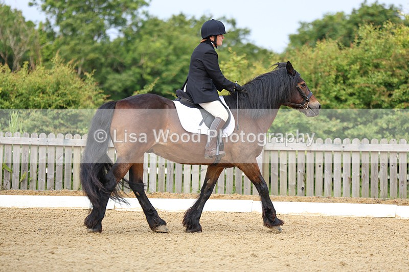 3E7A9022 - Class 1: Intro 1 2024 Section A