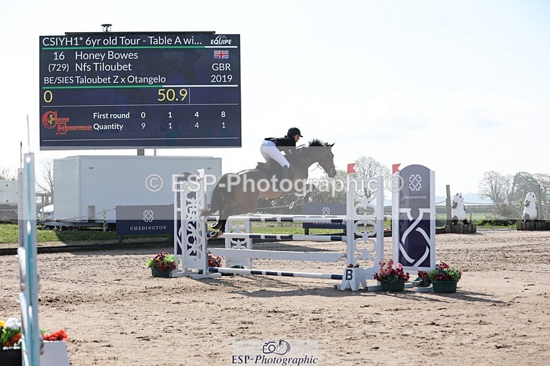 250427-095759-15168 - Cls 32 Young Horse 6yr old