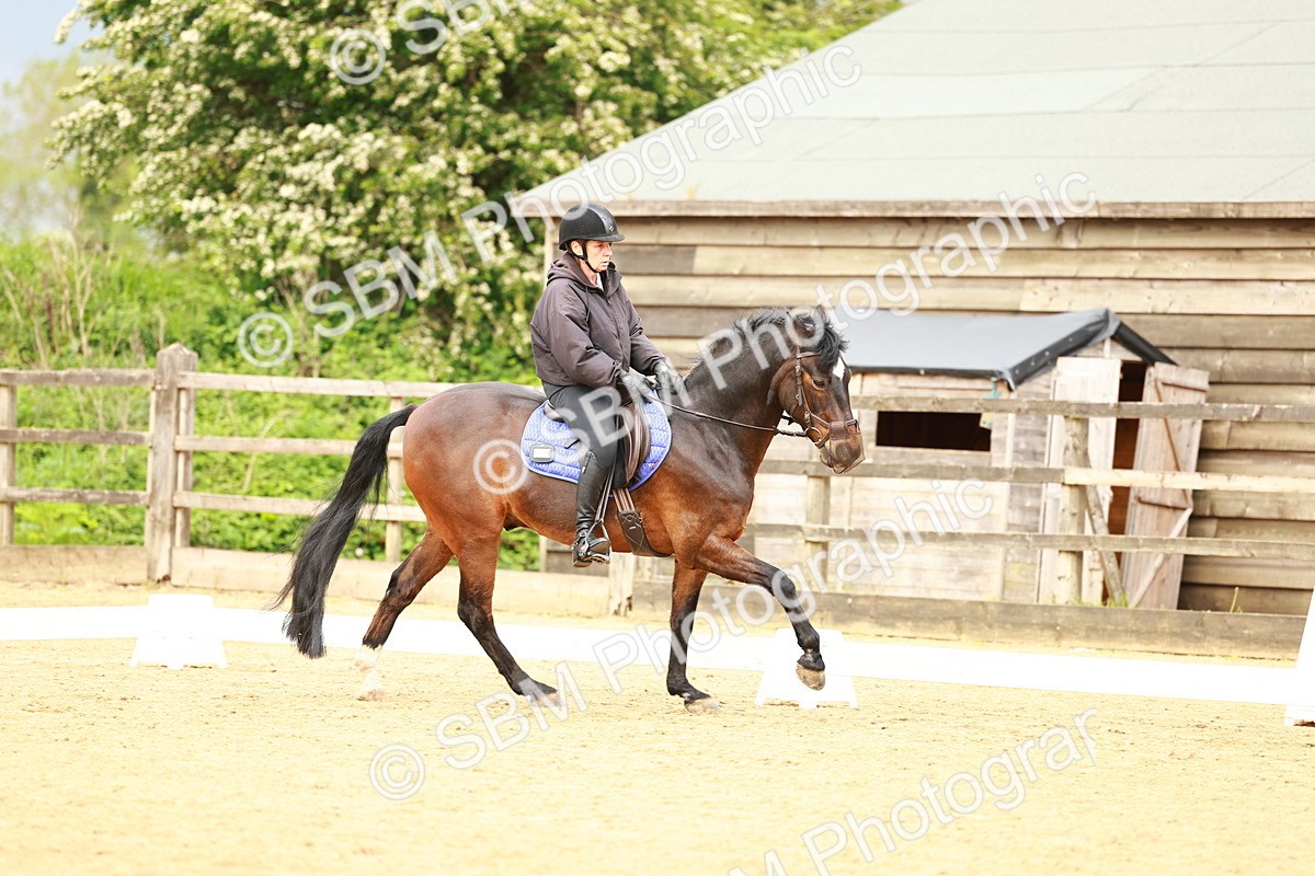 0B8A9277 - Class 5-4 - Novice 2-Prelim 3