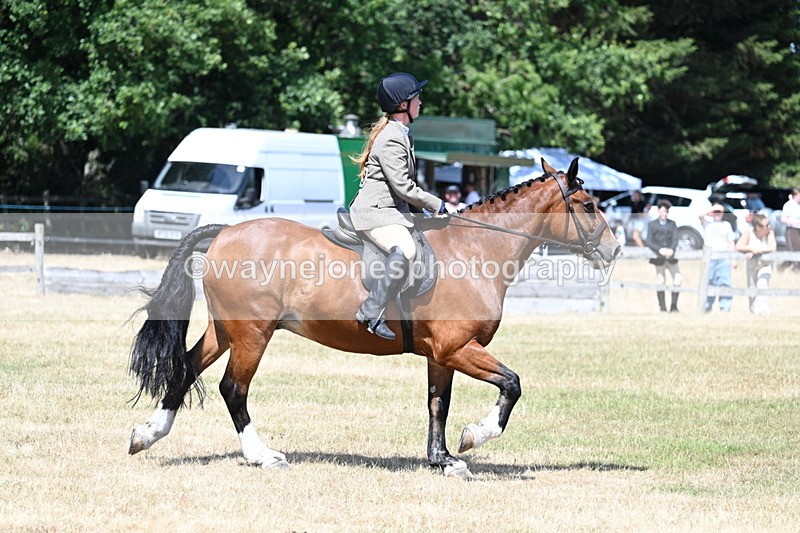 WJ7_3483 - Class 8 Ridden Veterans