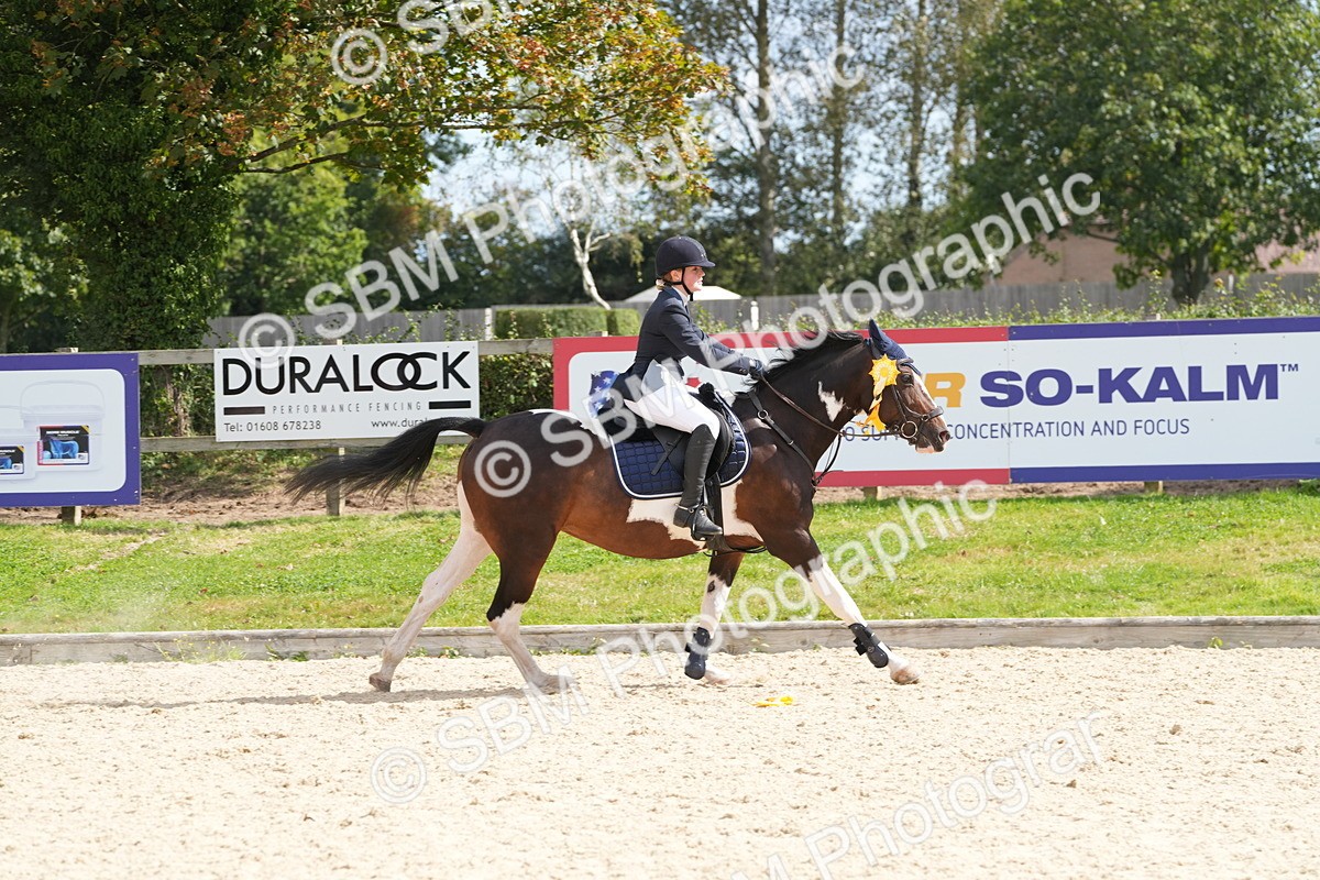 SBM_38937 - J21 - Junior Horse 60cm Championship