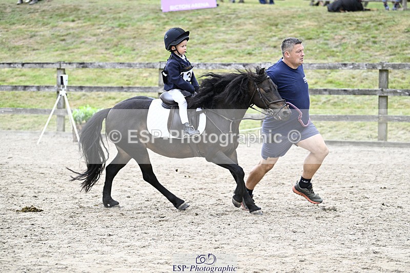 240822X-133954-08333 - 40cm LR R2 13.00 to 15.00