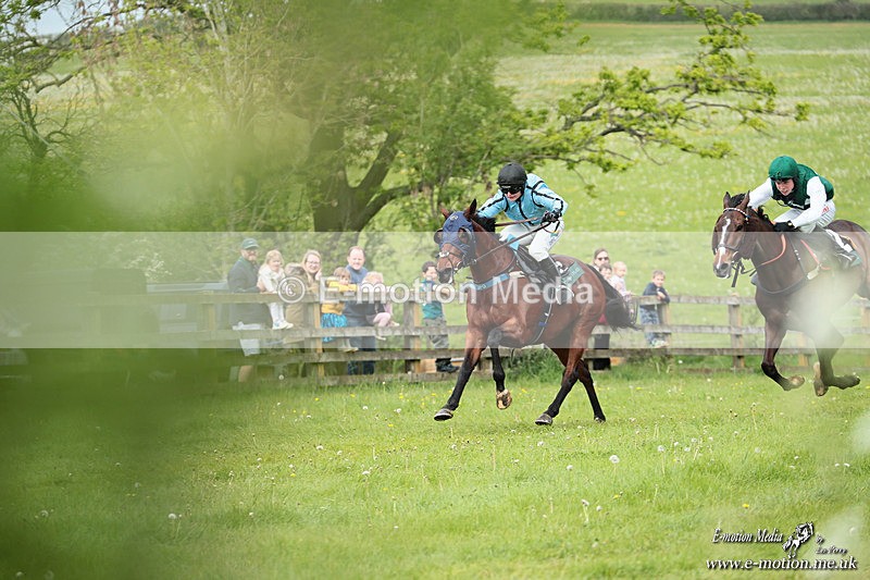 PtP 040526 361 - Mollington Point-to-Point 04/05/26