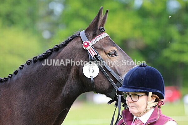 SIAL3009 - Ring 3 and 4