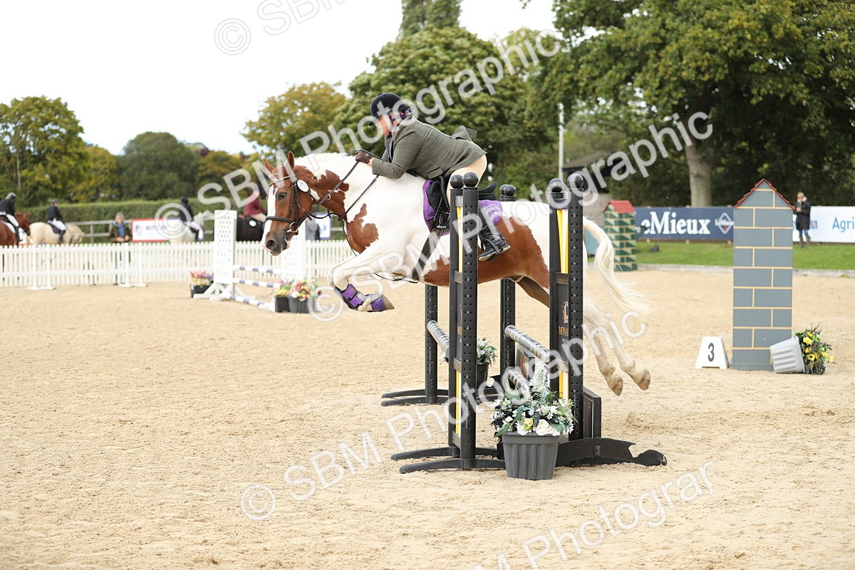 SBM_09884 - J36 - Veteran Rider 70cm