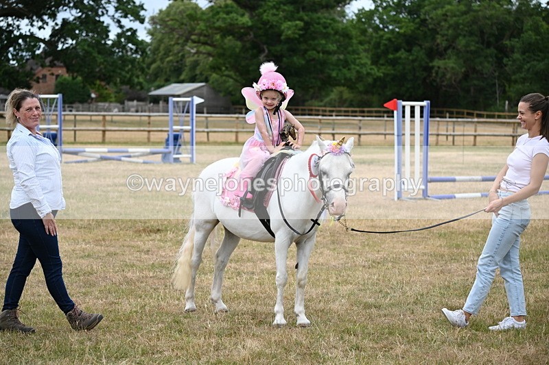WJ6_5001 - Class 11 Fancy Dress
