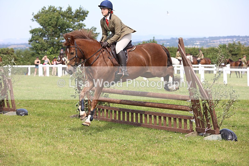 JPP_3682 - Class 23: Working Hunter 80cm