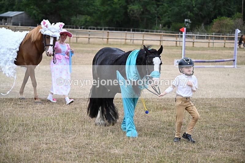 WJ6_8702 - Class 11 Fancy Dress