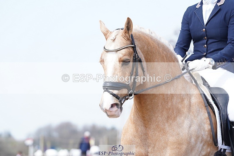 250403-124936-01977 - 058-Vikki.Pengilly-Cynheidrefawr.Isaac