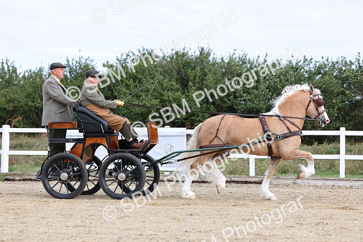 SBM_000737 - Class 6 - Exercise Vehicle 13.2 and over