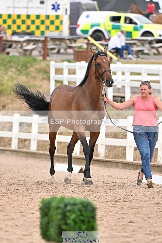 250716-160947-02466 - Trot Up 3.30 to 4.30