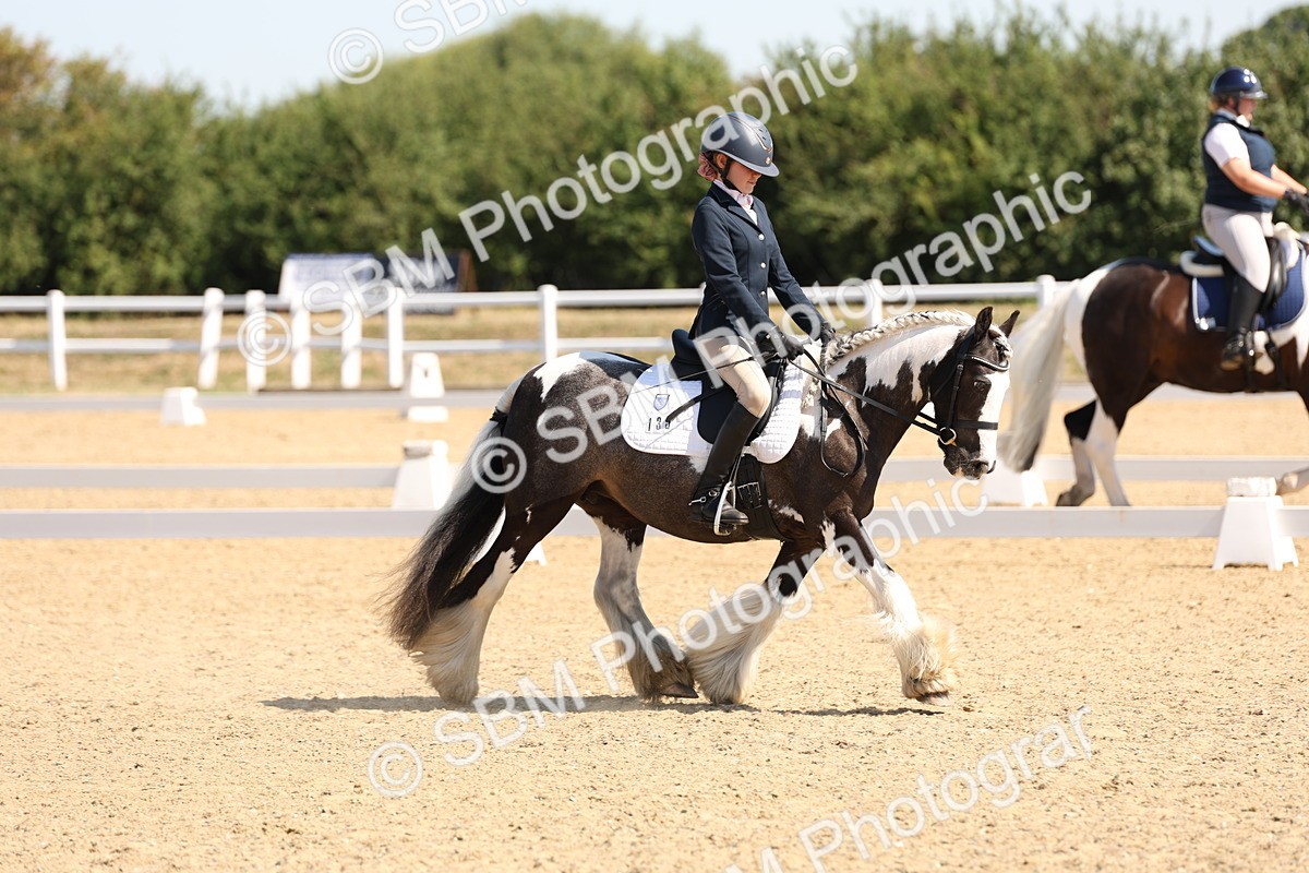 SBM_001061 - Intro 2