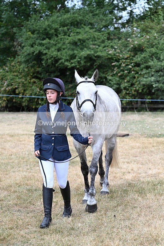 WJ7_1861 - Class 4a Prettiest Mare 14.2hh and over hand