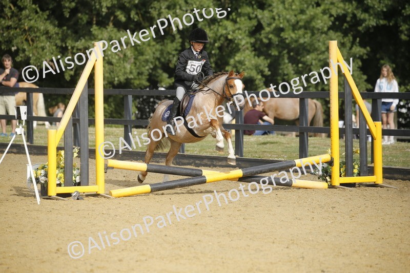 20250622-1240 - 40cm