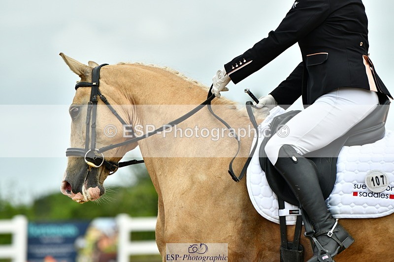 230702A-122257-09605 - Cls 28 Elementary 45